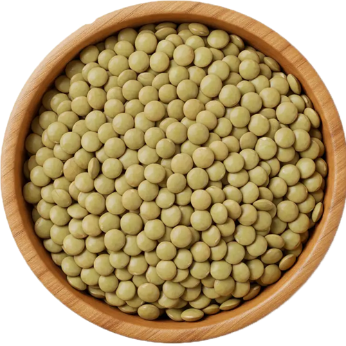 Yeşil Mercimek