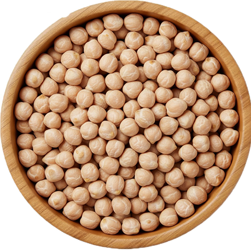 8,5mm nohut